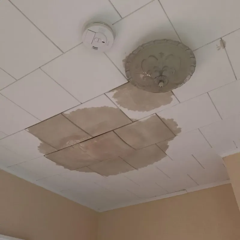 Ceiling Water Damage Repair in Morris County, KS
