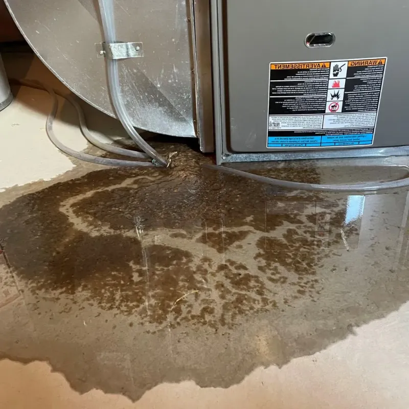 Pipe Burst and Leak Restoration in Morris County, KS