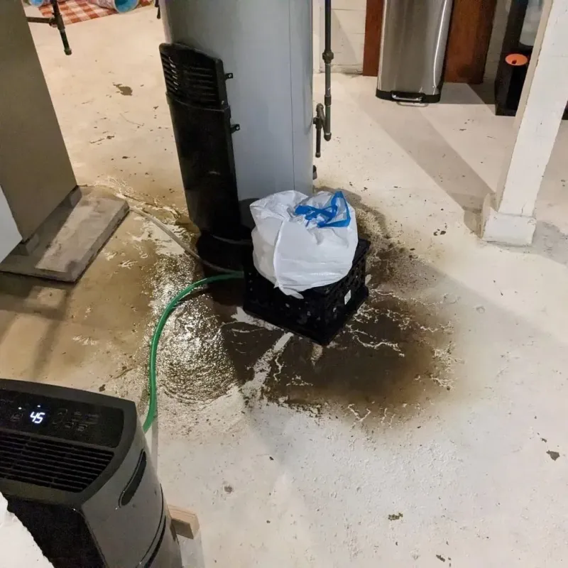 Sewage Backup Cleanup Service in Morris County, KS